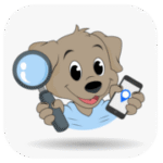 DVSA Driving Test Centre Info | Routes, Tips & What to Expect